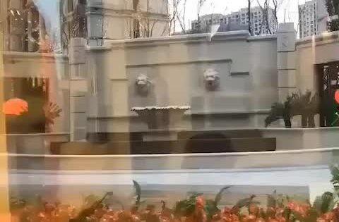 大同维也纳小区最新爆料,揭秘神秘事件背后的真相  第3张